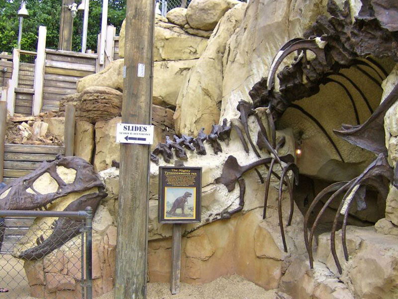骨架化石